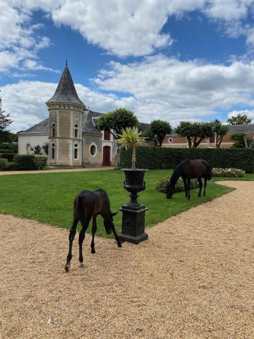Chateau Du Maurier La Fontaine-Saint-Martin Eksteriør billede
