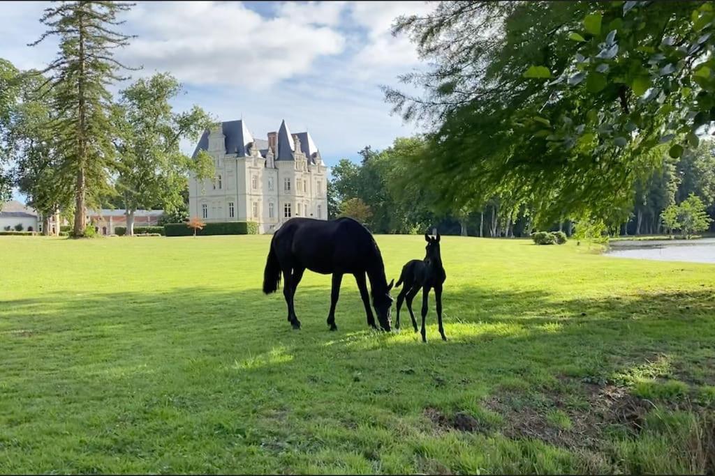 Chateau Du Maurier La Fontaine-Saint-Martin Eksteriør billede